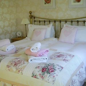 Superior Double or Twin Room Mountain View